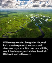 19661 SW 340th St in Florida City, FL - Foto de edificio - Building Photo