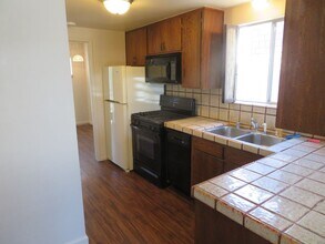 313 Cypress Ave in Santa Cruz, CA - Building Photo - Building Photo