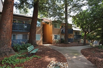 Creekside Terrace in Castro Valley, CA - Building Photo - Building Photo