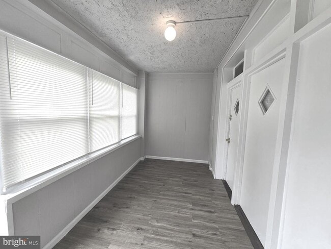 259 W Ruscomb St in Philadelphia, PA - Building Photo - Building Photo