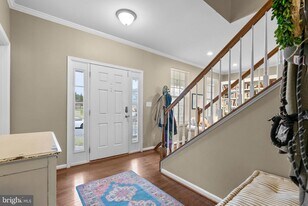 35507 St James Dr in Round Hill, VA - Building Photo