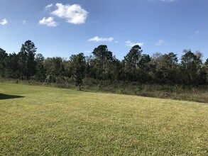 10018 Lovegrass Ln in Orlando, FL - Building Photo - Building Photo