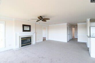 1441 Old Chapin Rd in Lexington, SC - Building Photo - Building Photo