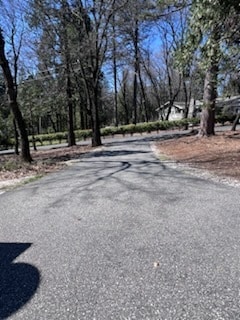 12437 Silk Tassle Cir in Nevada City, CA - Building Photo - Building Photo