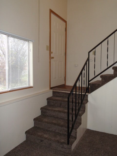 1031 Charlo St in Missoula, MT - Building Photo - Building Photo