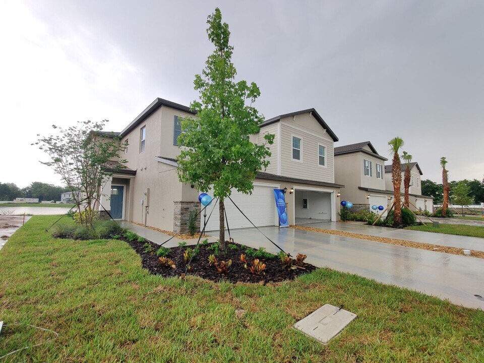 21175 Threadfin Wy in Land O Lakes, FL - Foto de edificio