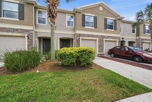 10425 Red Carpet Ct in Riverview, FL - Building Photo