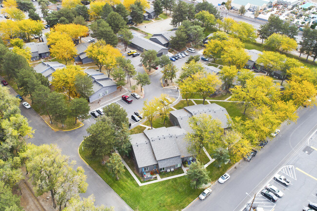 Maple Ridge in Richland, WA - Foto de edificio - Building Photo