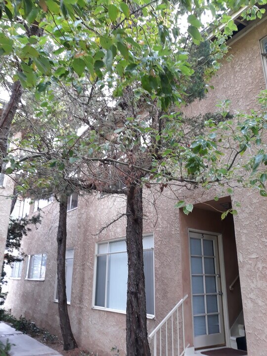 13531 Wyandotte St in Los Angeles, CA - Building Photo