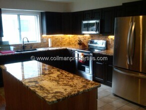 2319 Citrus Hill Rd in Palm Harbor, FL - Building Photo - Building Photo