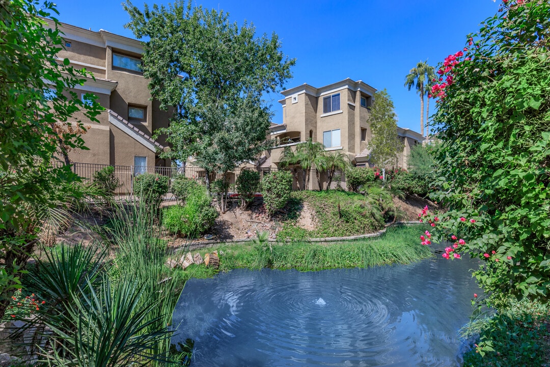 RN Properties La Terraza, LLC in Phoenix, AZ - Foto de edificio