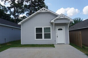 9771 Black Gum in Willis, TX - Building Photo
