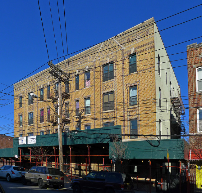 973 Dumont Ave in Brooklyn, NY - Building Photo - Building Photo