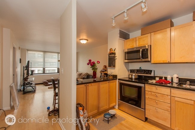 222 E Pearson St, Unit 1503