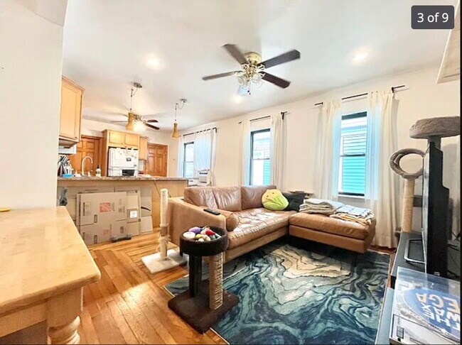 property at 3 Aldie St