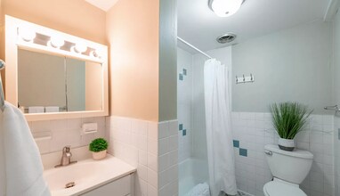371 Harvard St in Cambridge, MA - Building Photo - Building Photo
