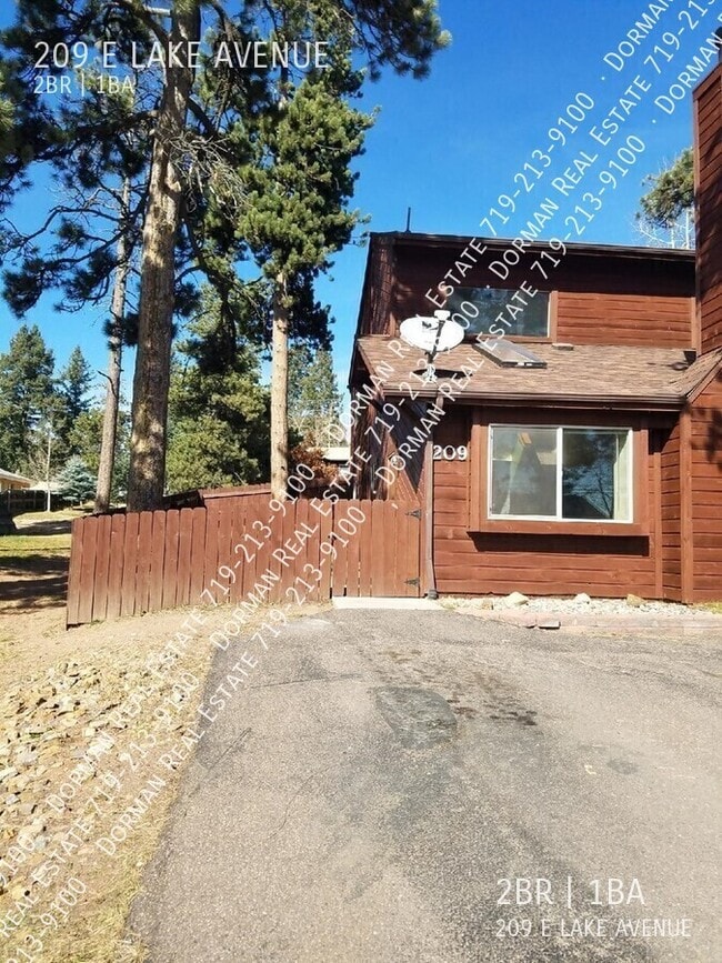 property at 209 E Lake Ave