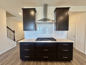 704 Switchgrass Wy in Bolingbrook, IL - Building Photo - Building Photo