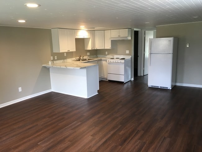 223 N West St, Unit 4 in Dakota, IL - Building Photo - Building Photo