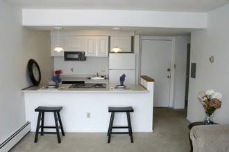 Lakeview Terrace Apartments in Oshkosh, WI - Foto de edificio - Interior Photo