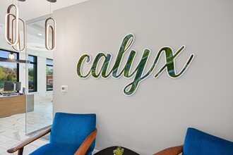 Link Apartments® Calyx in Chapel Hill, NC - Building Photo - Building Photo