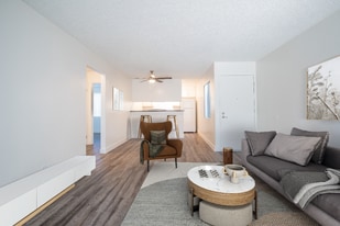 320 Smilax Rd in San Marcos, CA - Building Photo