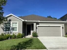 20275 Calla Lily Dr in Land O Lakes, FL - Building Photo
