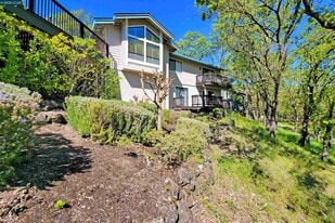 117 Dean Rd in Alamo, CA - Building Photo