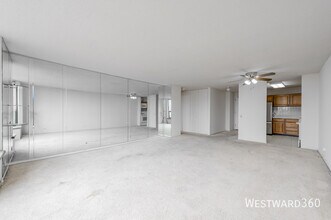 901 S Plymouth Ct in Chicago, IL - Building Photo - Building Photo