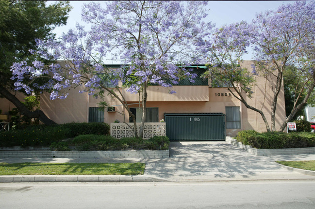 10805 Camarillo St in North Hollywood, CA - Building Photo - Building Photo