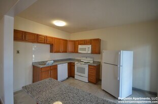 1157 Commonwealth Ave, Unit 1 in Boston, MA - Building Photo