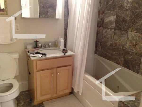 25 Aspinwall Ave, Unit 1 in Brookline, MA - Building Photo - Building Photo