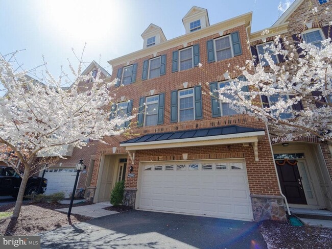 22595 Windsor Locks Square in Ashburn, VA - Building Photo - Building Photo