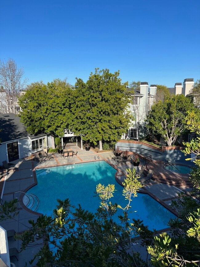 property at 23412 Pacific Park Dr