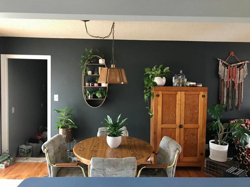 1515 Querida Dr in Colorado Springs, CO - Building Photo