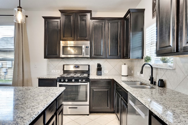 173 Diamondback Cove in Buda, TX - Building Photo - Building Photo