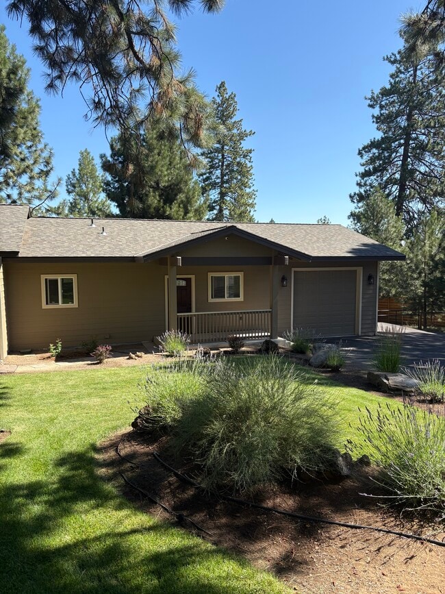 property at 20620 Pine Vista Dr