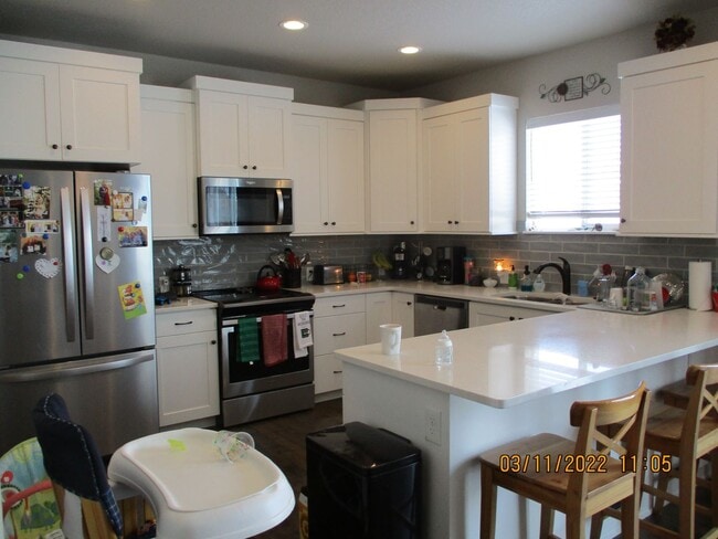 1504 Tundra Ave in Berthoud, CO - Building Photo - Building Photo