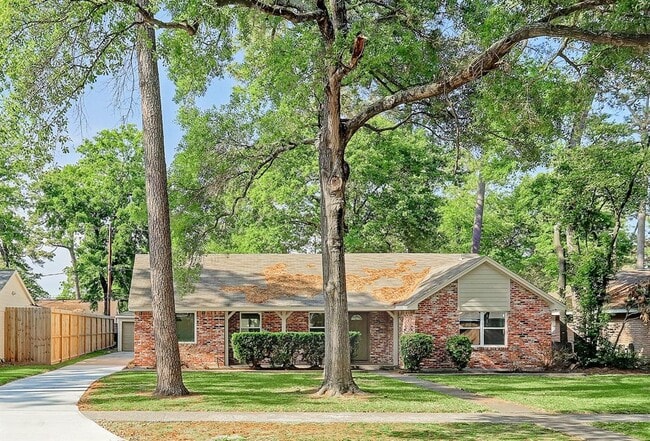 10050 Cedardale Dr in Houston, TX - Building Photo - Building Photo