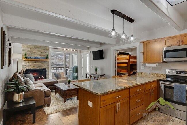 220 La Bonte St in Dillon, CO - Building Photo - Building Photo