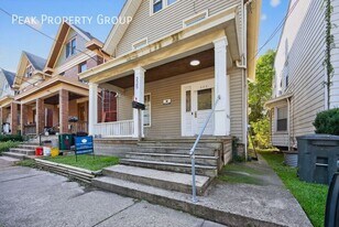 225 Atkinson St in Cincinnati, OH - Building Photo