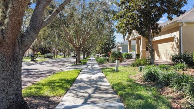 117 Flame Vine Way in Groveland, FL - Building Photo - Building Photo