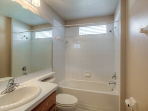 4253 Balmoral Ct in Wesley Chapel, FL - Building Photo - Building Photo