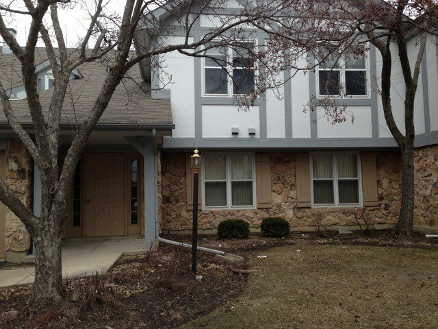 186 Hemingway Ct in Vernon Hills, IL - Building Photo