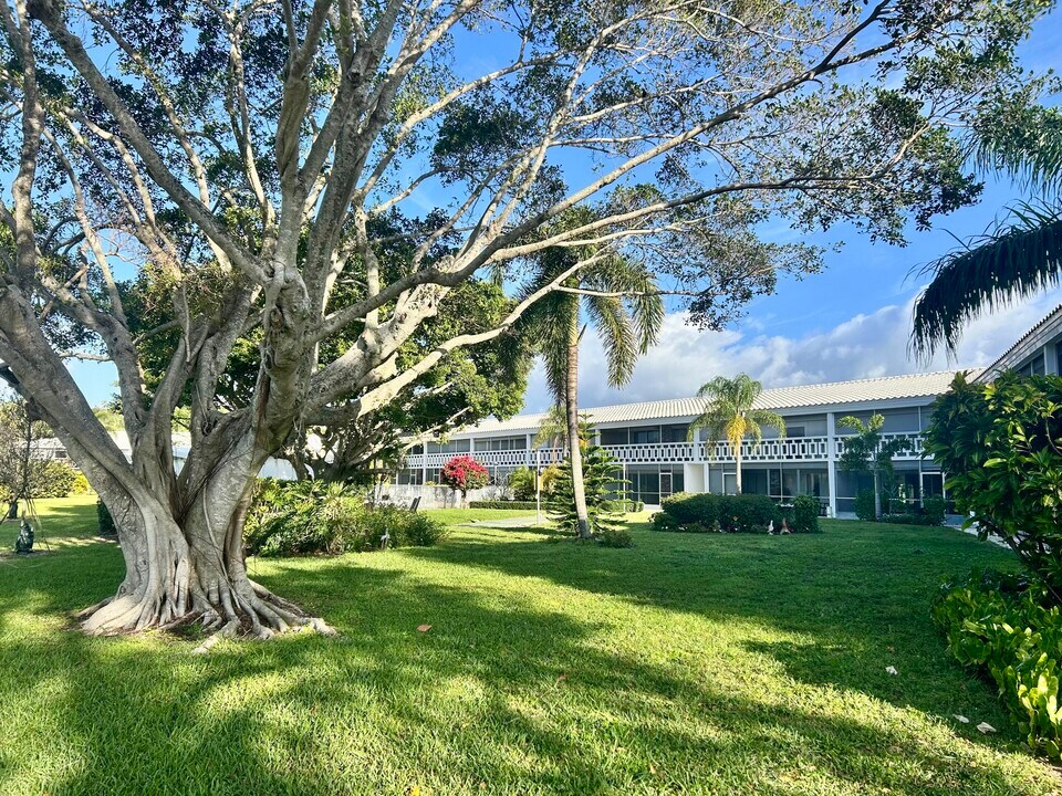331 Tequesta Dr in Jupiter, FL - Building Photo