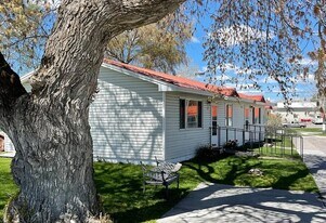 835 W Main St in St Anthony, ID - Building Photo