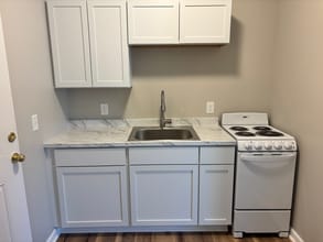 215 N Bridge St in Grand Ledge, MI - Building Photo - Building Photo