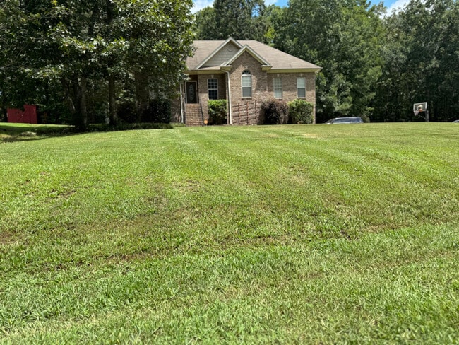 996 George Crowe Rd in Odenville, AL - Foto de edificio - Building Photo