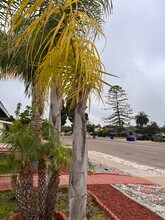 2975 Governor Dr in San Diego, CA - Foto de edificio - Building Photo
