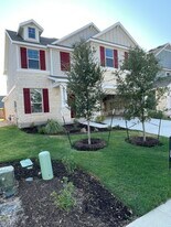 1616 Holly Lk Dr in Leander, TX - Building Photo